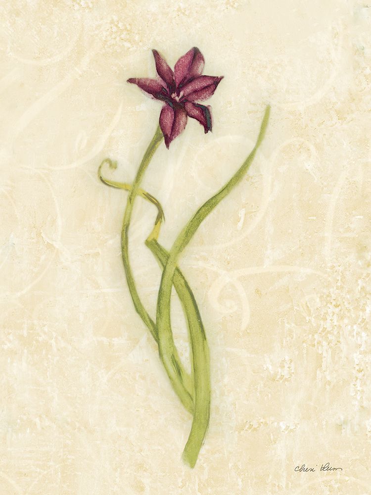 Persian Pearl Stem art print by Cheri Blum for $57.95 CAD