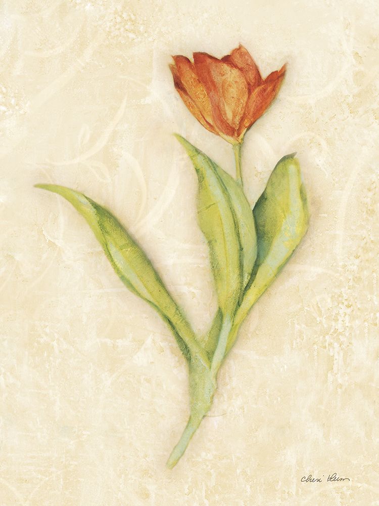 Red Tulip Stem art print by Cheri Blum for $57.95 CAD