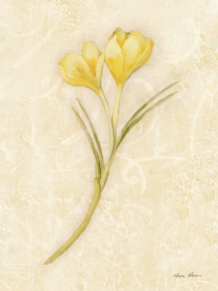 Yellow Crocus Stem art print by Cheri Blum for $57.95 CAD