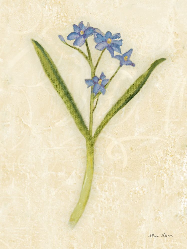 Forget Me Not Stem art print by Cheri Blum for $57.95 CAD