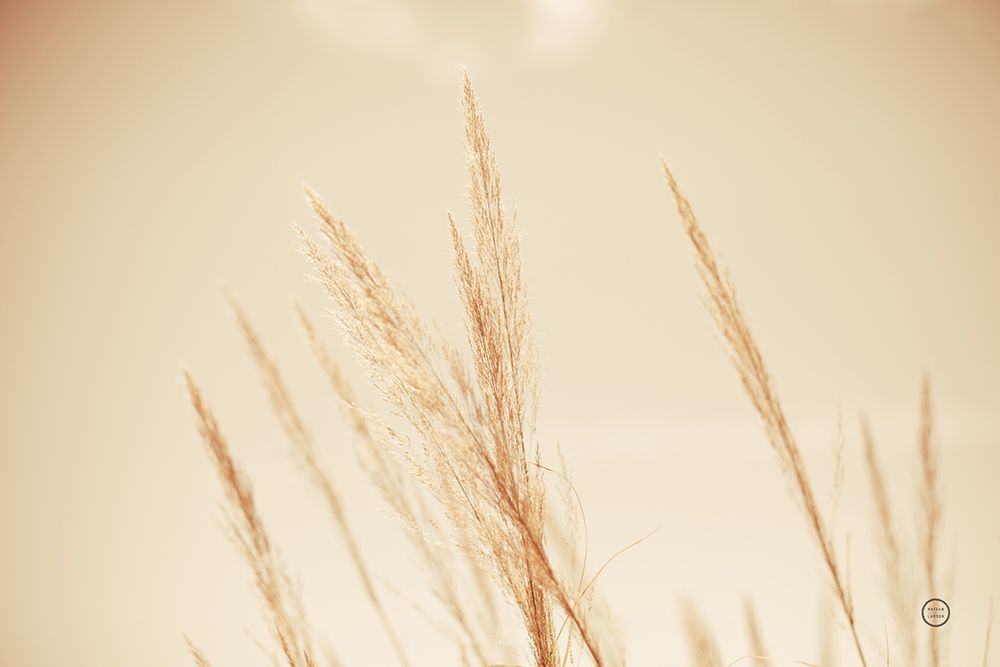Summer Fields art print by Nathan Larson for $57.95 CAD