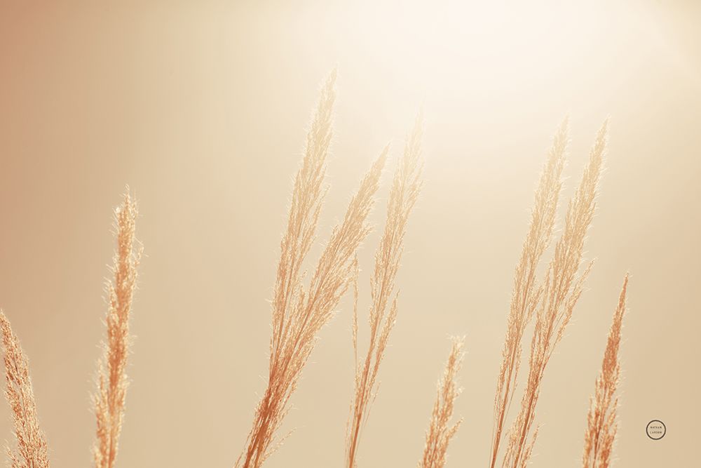 Noon Grasses II art print by Nathan Larson for $57.95 CAD