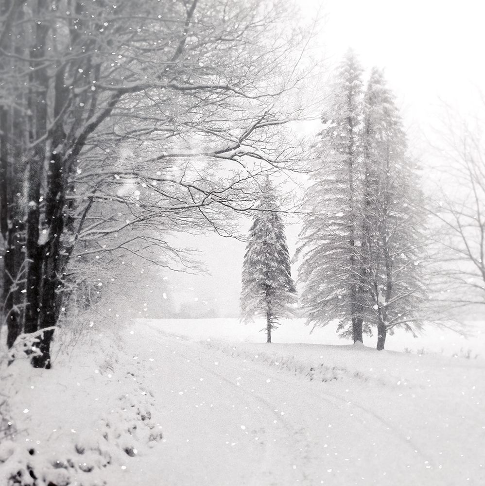 Let it Snow II BW No Words art print by Sue Schlabach for $57.95 CAD