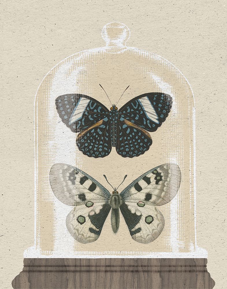 Cottage Butterflies I art print by Wild Apple Portfolio for $57.95 CAD
