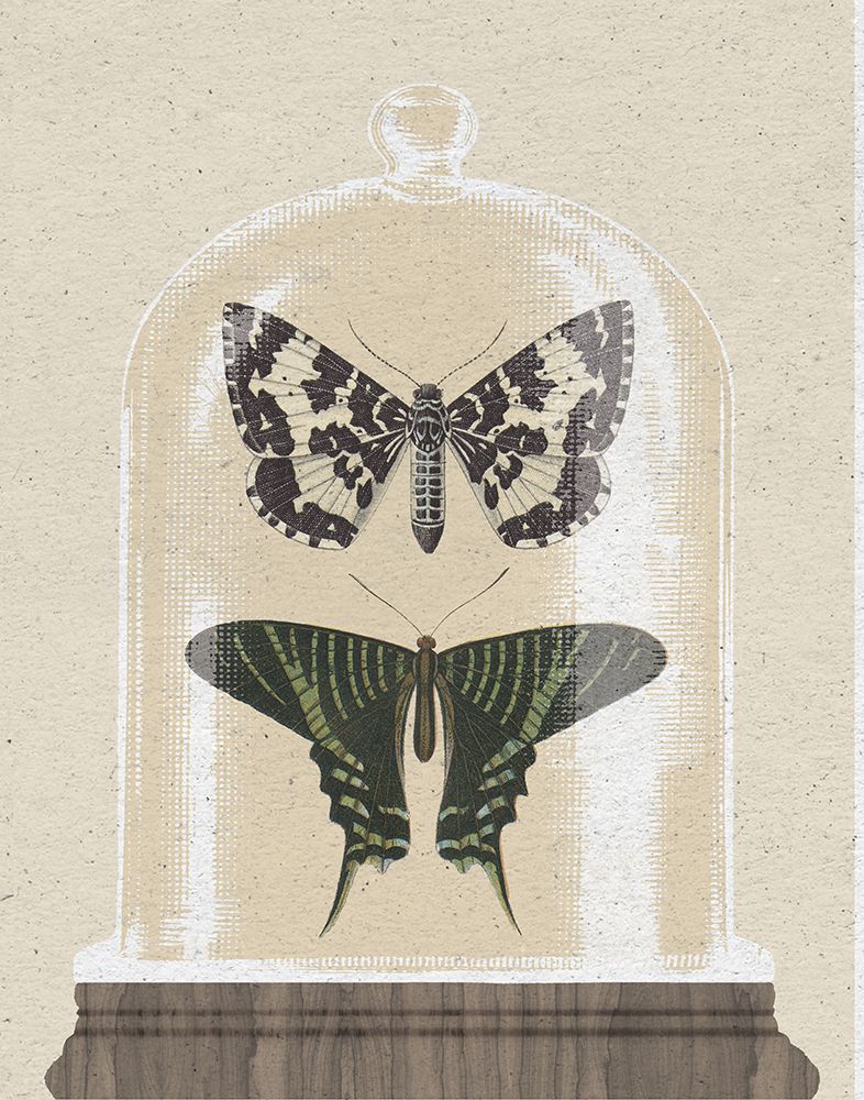 Cottage Butterflies II art print by Wild Apple Portfolio for $57.95 CAD