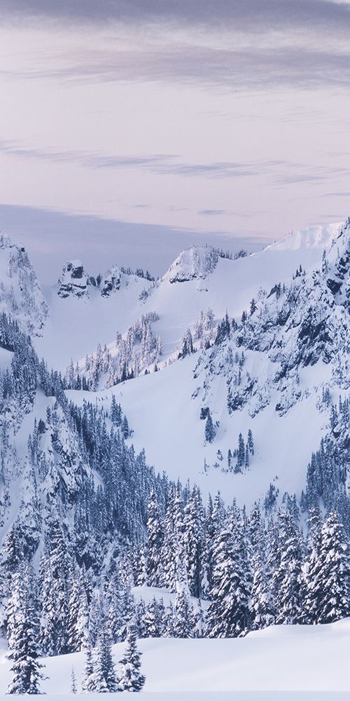 Tatoosh Range Triptych I art print by Alan Majchrowicz for $57.95 CAD