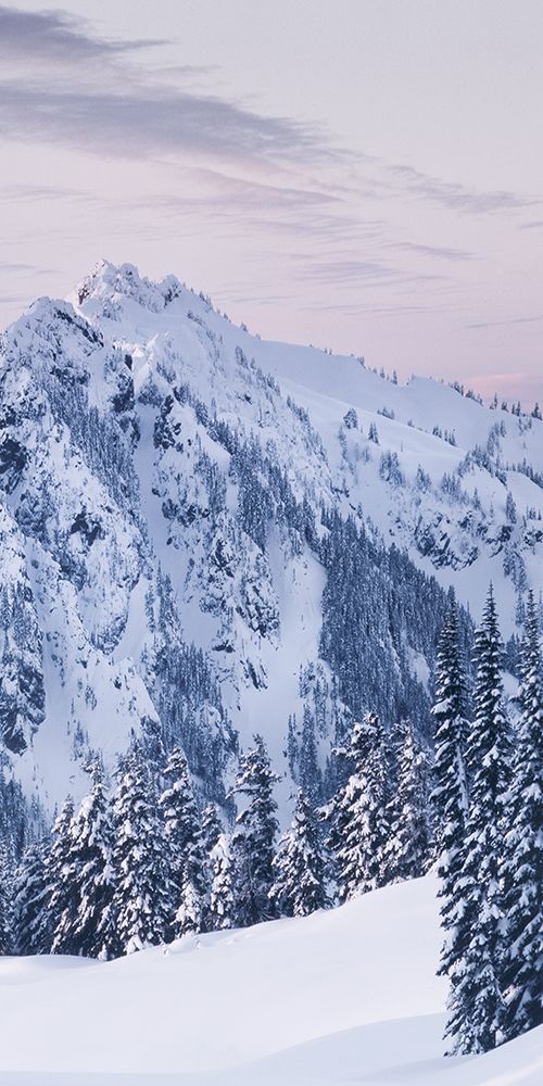 Tatoosh Range Triptych II art print by Alan Majchrowicz for $57.95 CAD