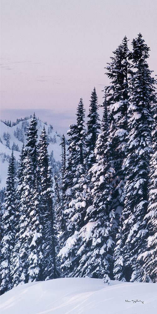 Tatoosh Range Panel III art print by Alan Majchrowicz for $57.95 CAD