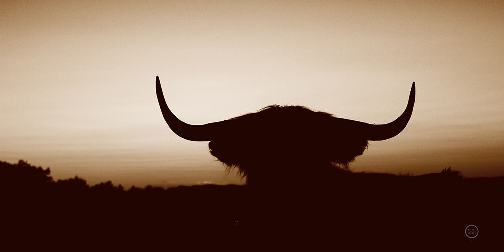 Bull Set Sepia Crop art print by Nathan Larson for $57.95 CAD