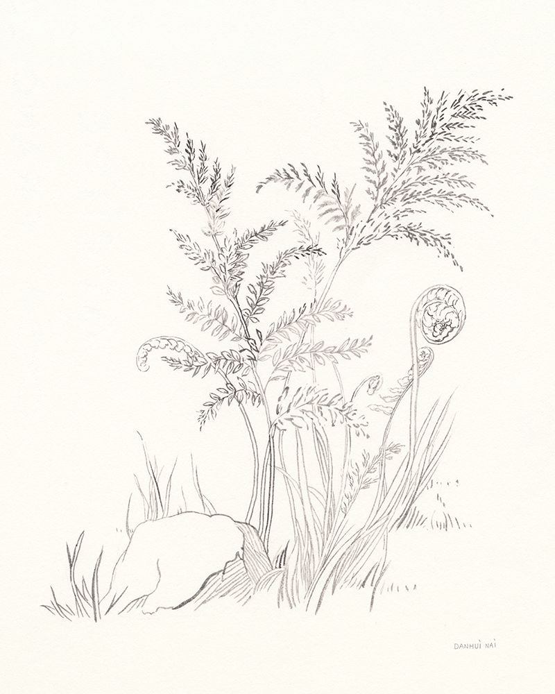 Nature Sketchbook VI art print by Danhui Nai for $57.95 CAD