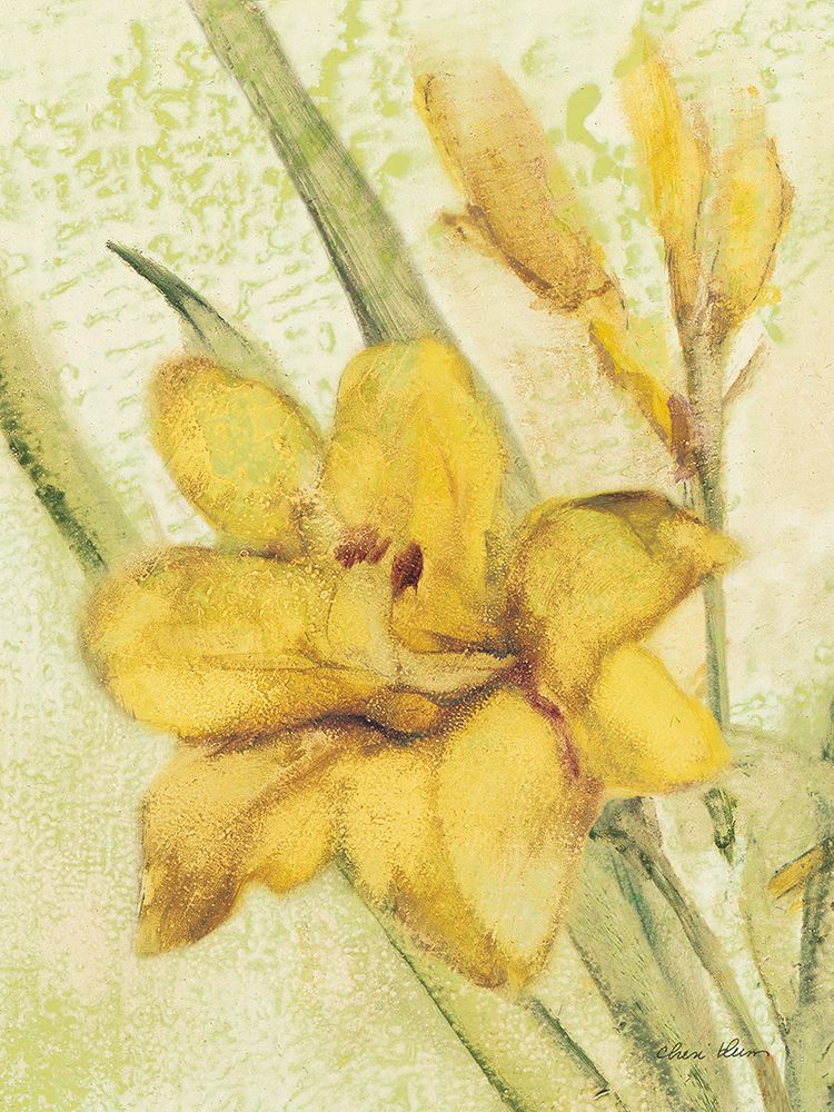 Yellow Day Lily art print by Cheri Blum for $57.95 CAD