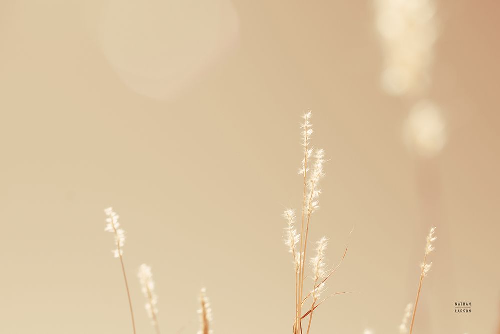 Lakeside Grasses I art print by Nathan Larson for $57.95 CAD