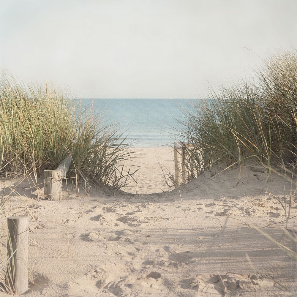 Beach Grasses art print by Pela Studio for $57.95 CAD