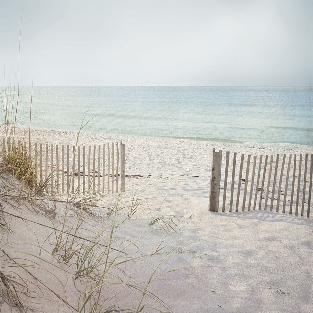 Beach Fence art print by Pela Studio for $57.95 CAD