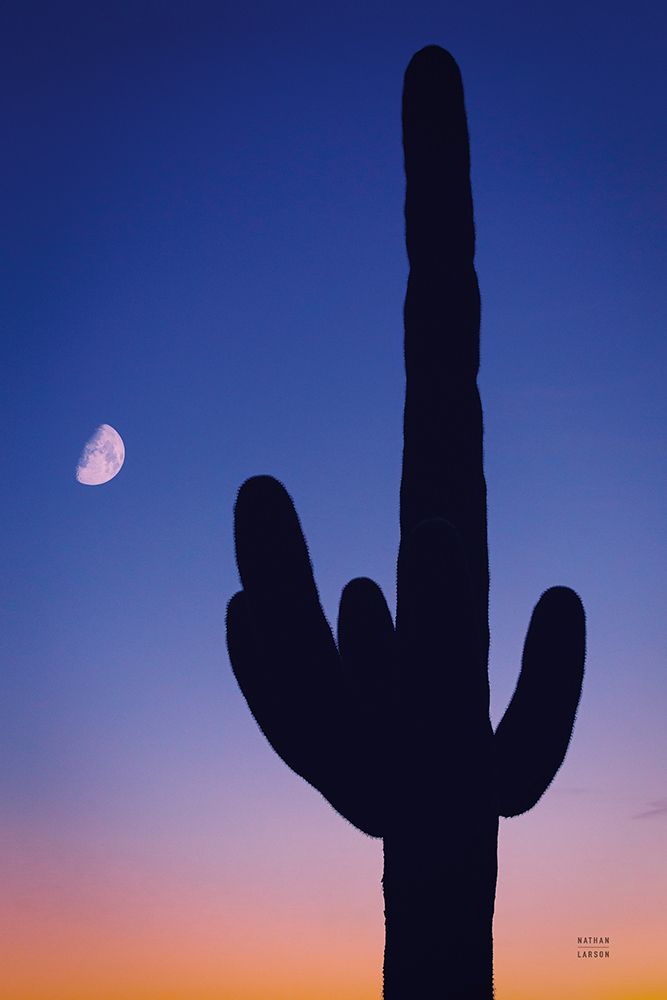 Candy Rock Desert art print by Nathan Larson for $57.95 CAD
