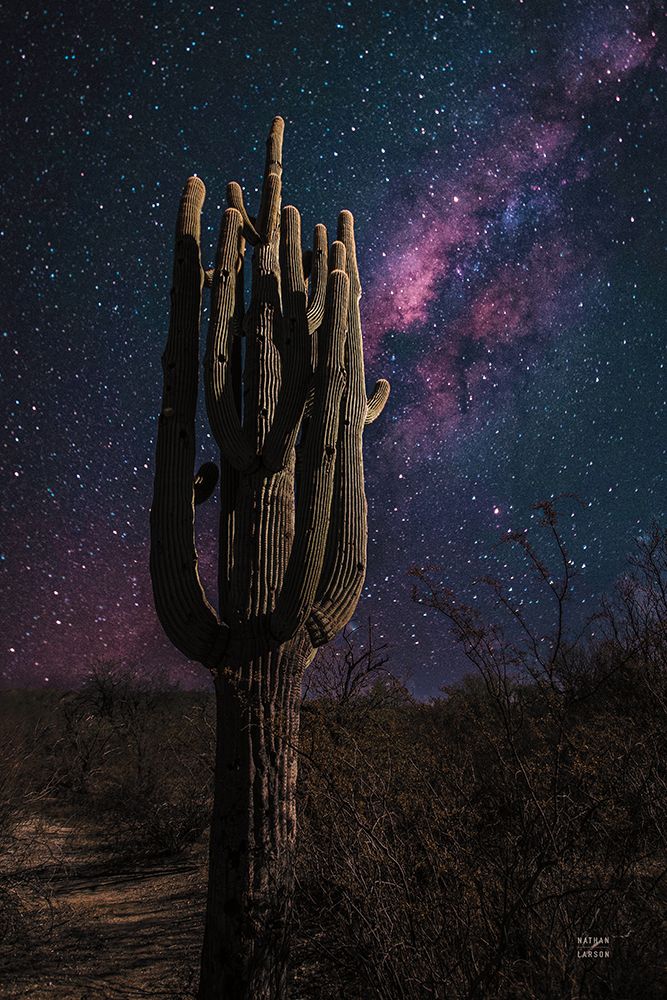 Desert Nights art print by Nathan Larson for $57.95 CAD