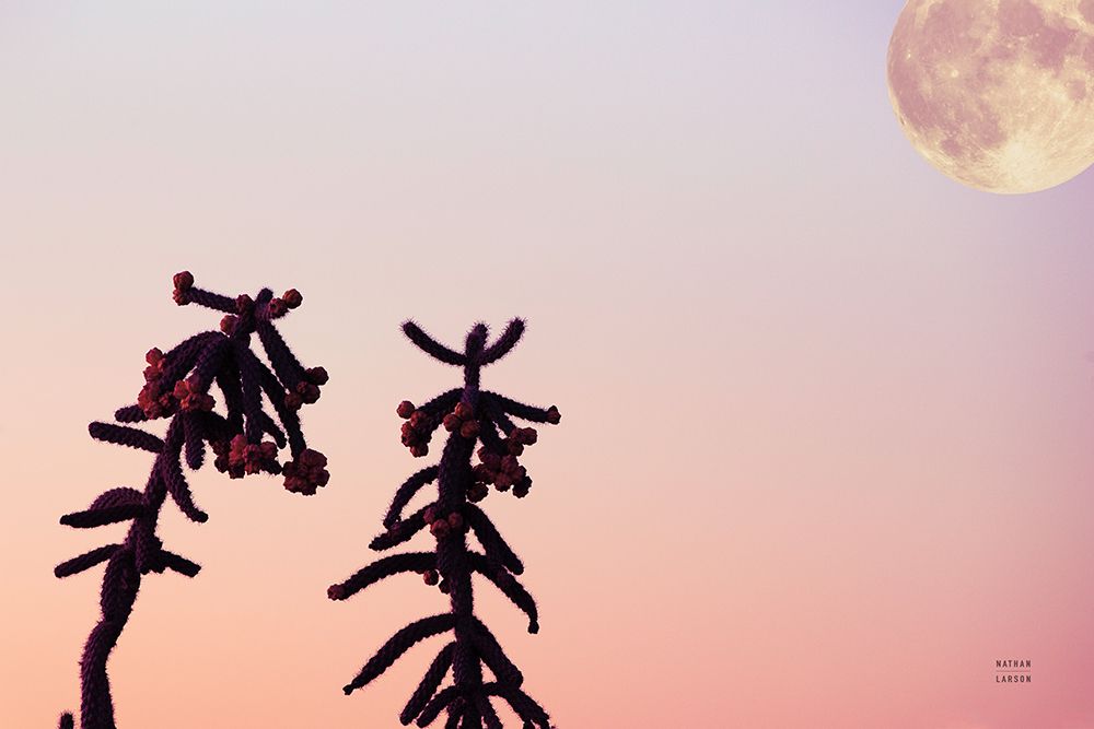 Moon Desert art print by Nathan Larson for $57.95 CAD