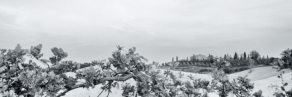 Villa View Light Crop art print by Aledanda for $57.95 CAD