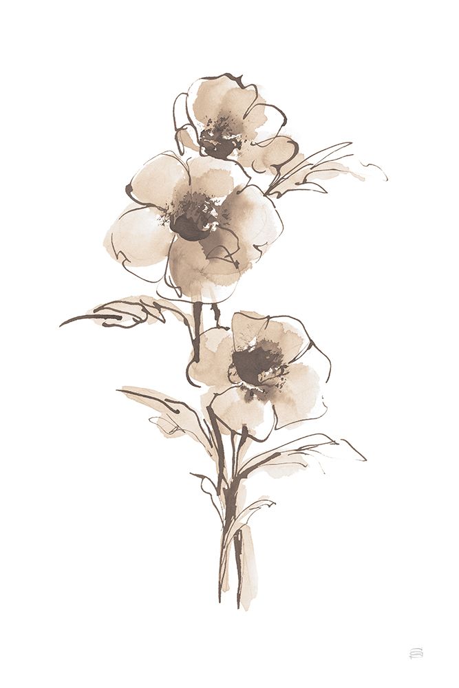 Wash Anemone II Neutral art print by Chris Paschke for $57.95 CAD