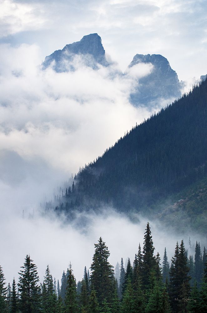 Mountain Fog art print by Alan Majchrowicz for $57.95 CAD