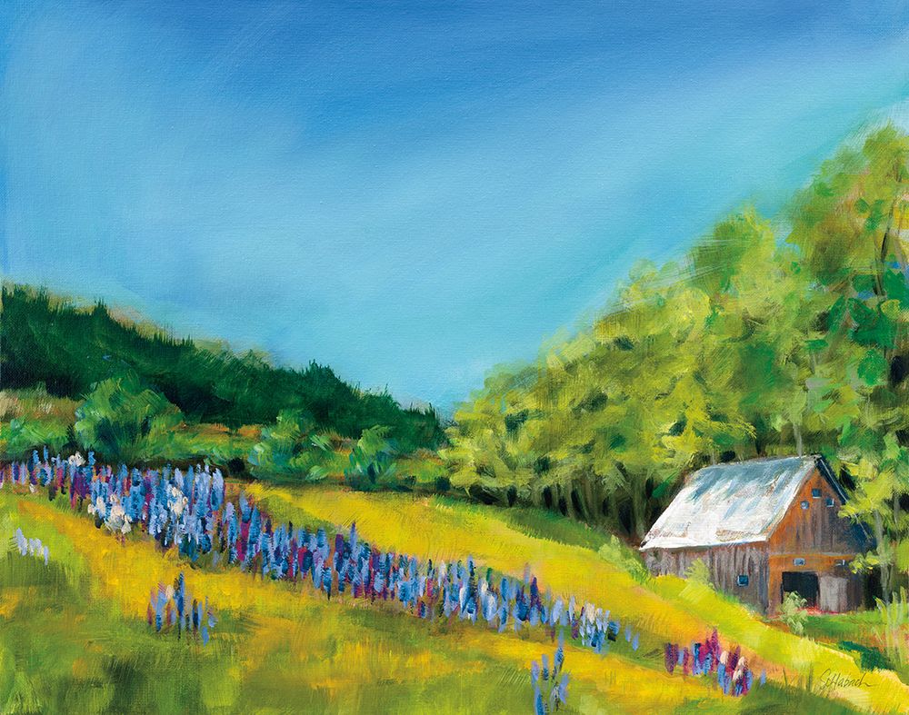 Field of Lupine art print by Sue Schlabach for $57.95 CAD