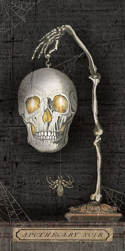 Apothecary Noir VII art print by Sue Schlabach for $57.95 CAD