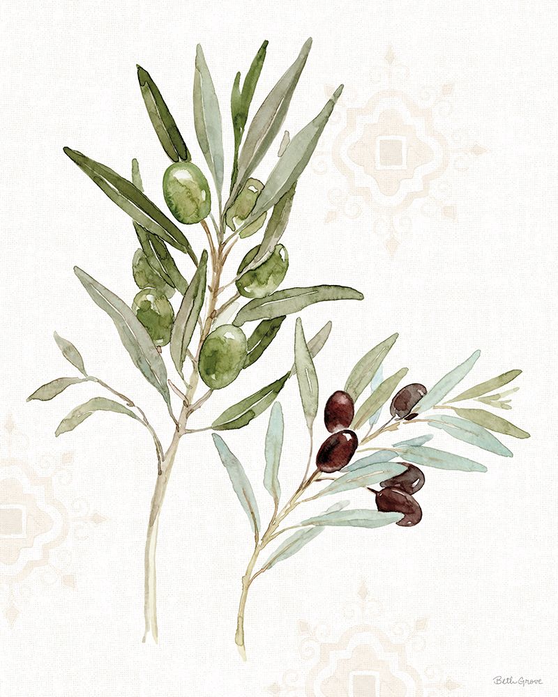 Mediterranean Motif VIII art print by Beth Grove for $57.95 CAD