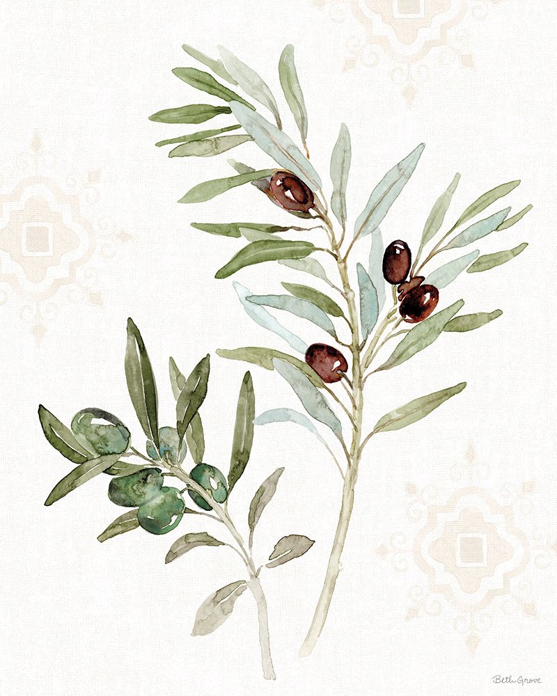 Mediterranean Motif IX art print by Beth Grove for $57.95 CAD