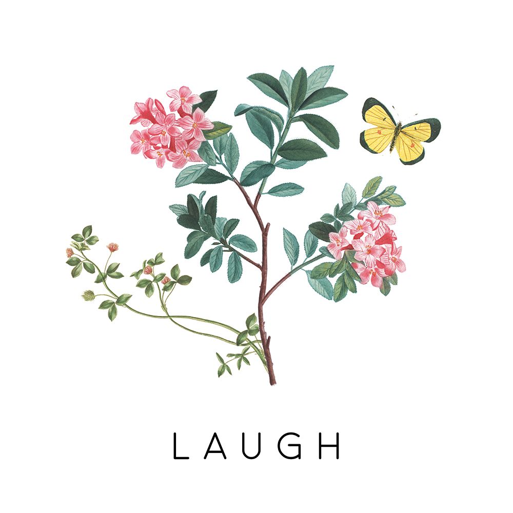 Victorian Garden Bright VIII art print by Wild Apple Portfolio for $57.95 CAD