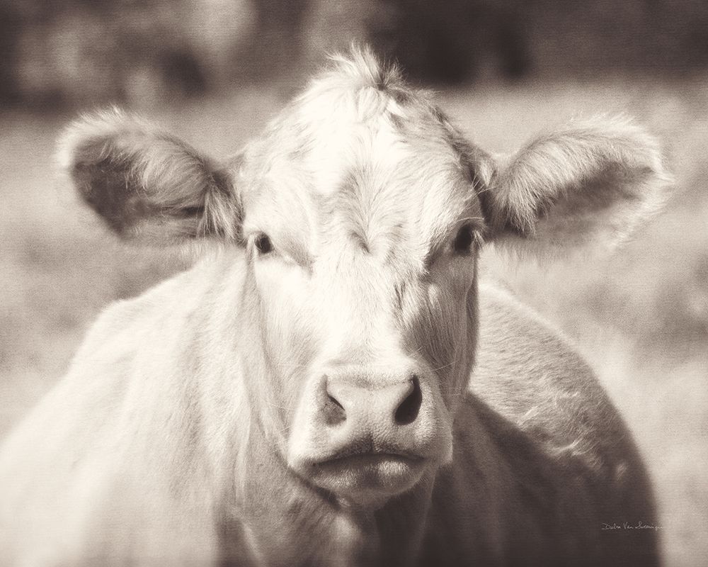Pasture Cow Neutral art print by Debra Van Swearingen for $57.95 CAD
