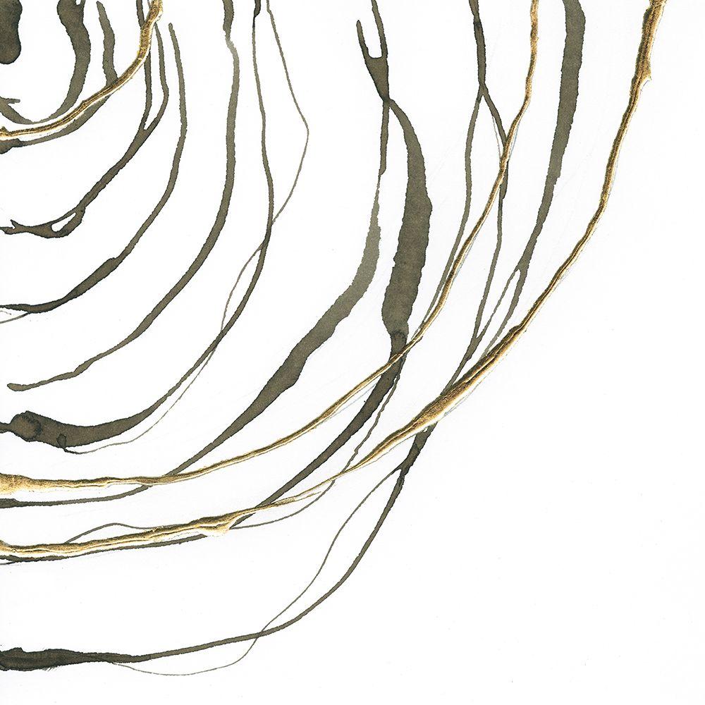Not Quite Concentric IV art print by Chris Paschke for $57.95 CAD