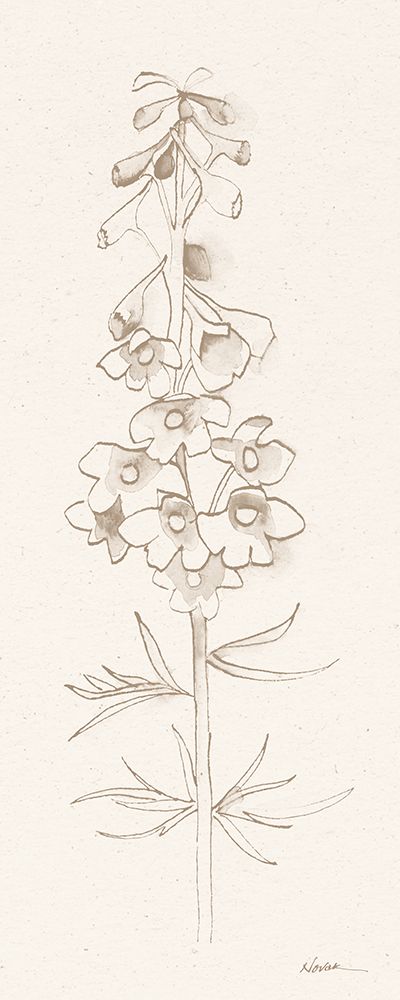 Delphinium I art print by Shirley Novak for $57.95 CAD