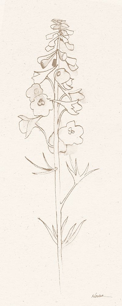 Delphinium II art print by Shirley Novak for $57.95 CAD