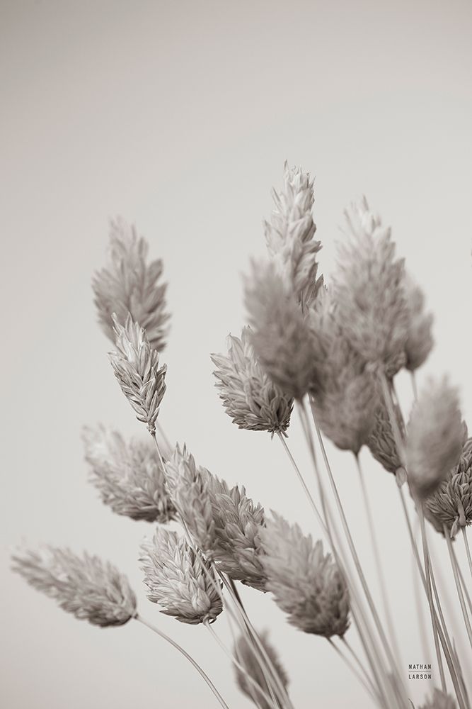 Wistful BW art print by Nathan Larson for $57.95 CAD