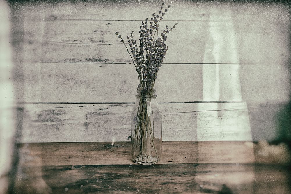 Cottage Lavender I art print by Nathan Larson for $57.95 CAD