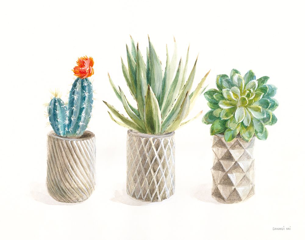 Desert Greenhouse VIII art print by Danhui Nai for $57.95 CAD