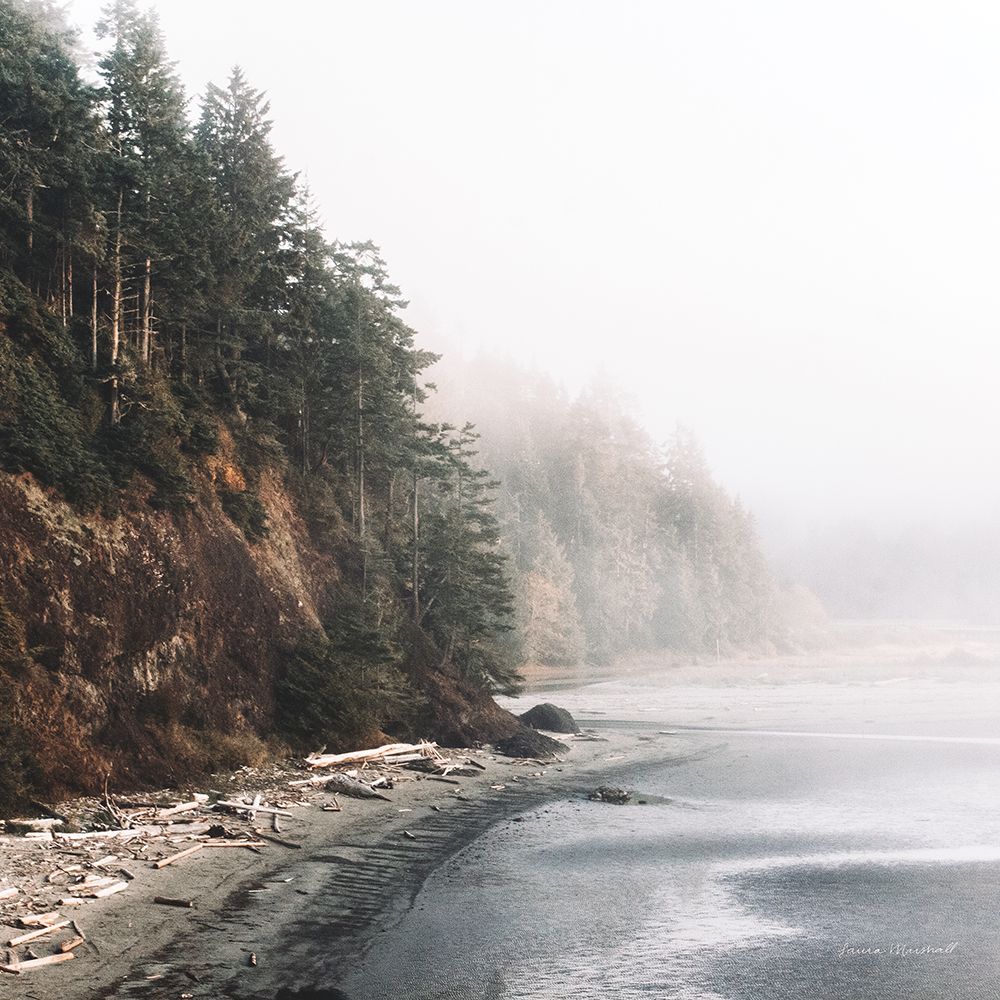 Salt Creek III Color art print by Laura Marshall for $57.95 CAD