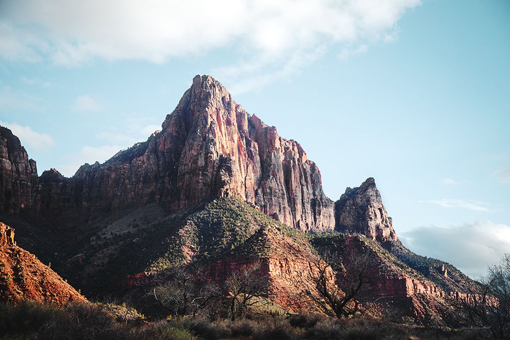 The Watchman I Color art print by Laura Marshall for $57.95 CAD