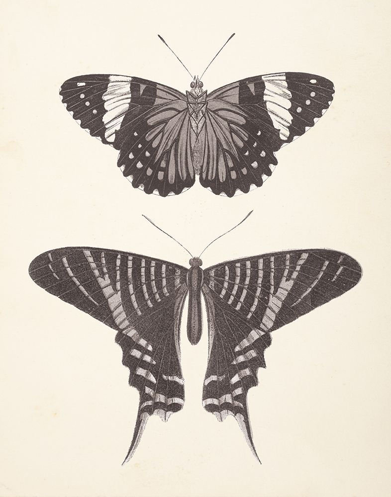 Papillons I Neutral art print by Wild Apple Portfolio for $57.95 CAD