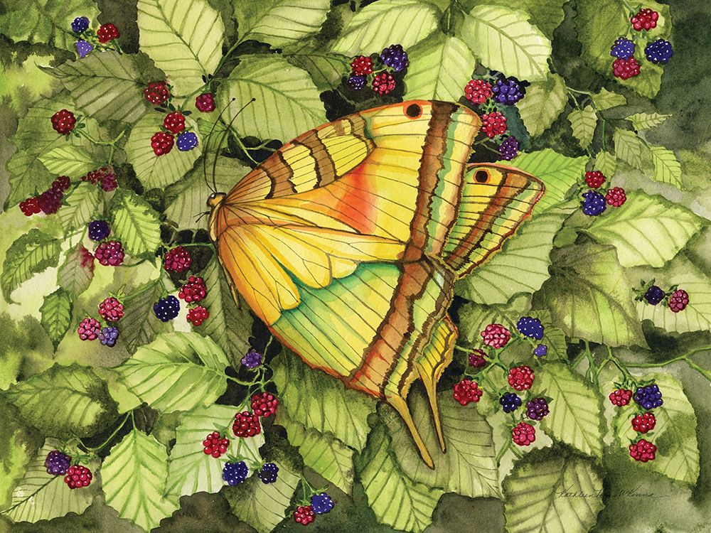 Bountiful Butterfly art print by Kathleen Parr McKenna for $57.95 CAD
