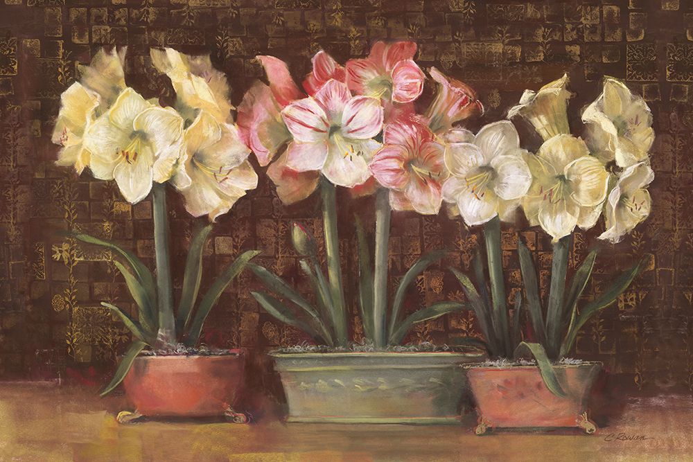 Amaryllis on Brown art print by Carol Rowan for $57.95 CAD