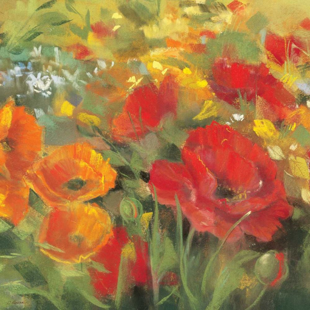 Oriental Poppy Field I art print by Carol Rowan for $57.95 CAD