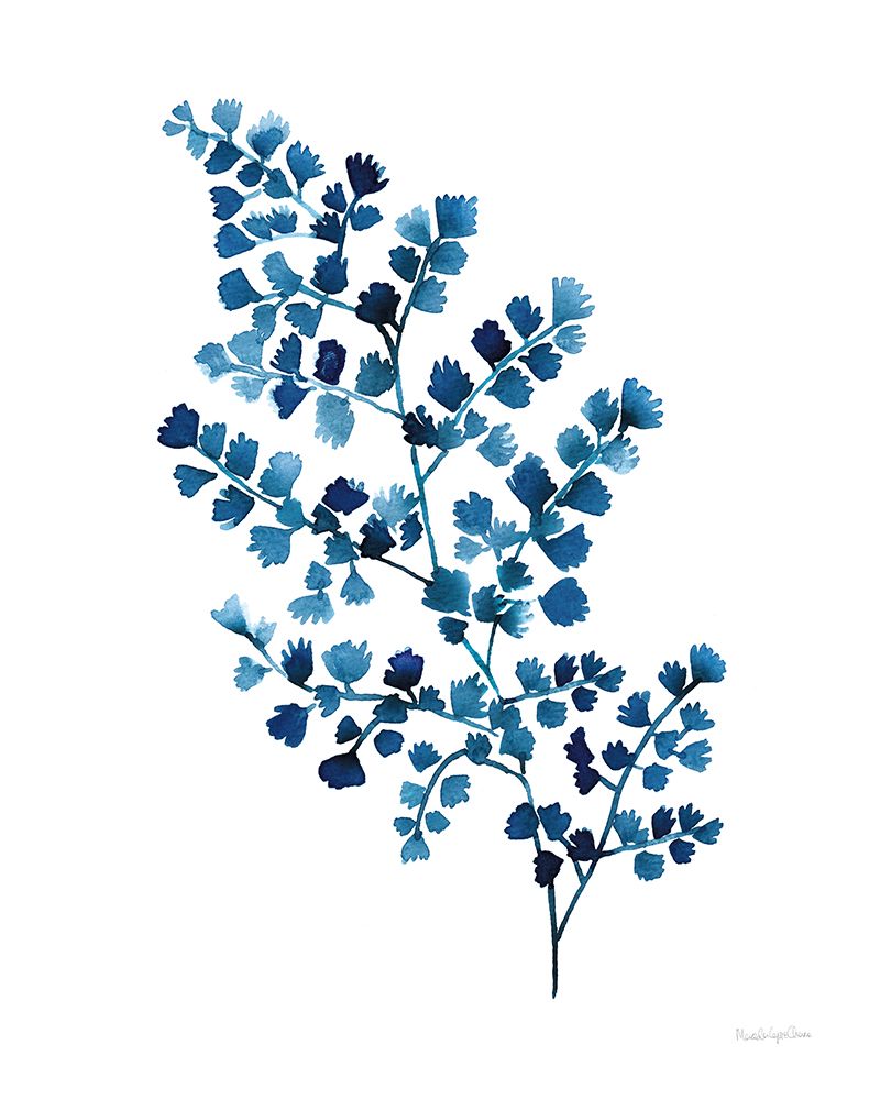 Maidenhair Fern art print by Mercedes Lopez Charro for $57.95 CAD