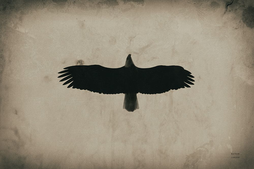Eagle Pass art print by Nathan Larson for $57.95 CAD