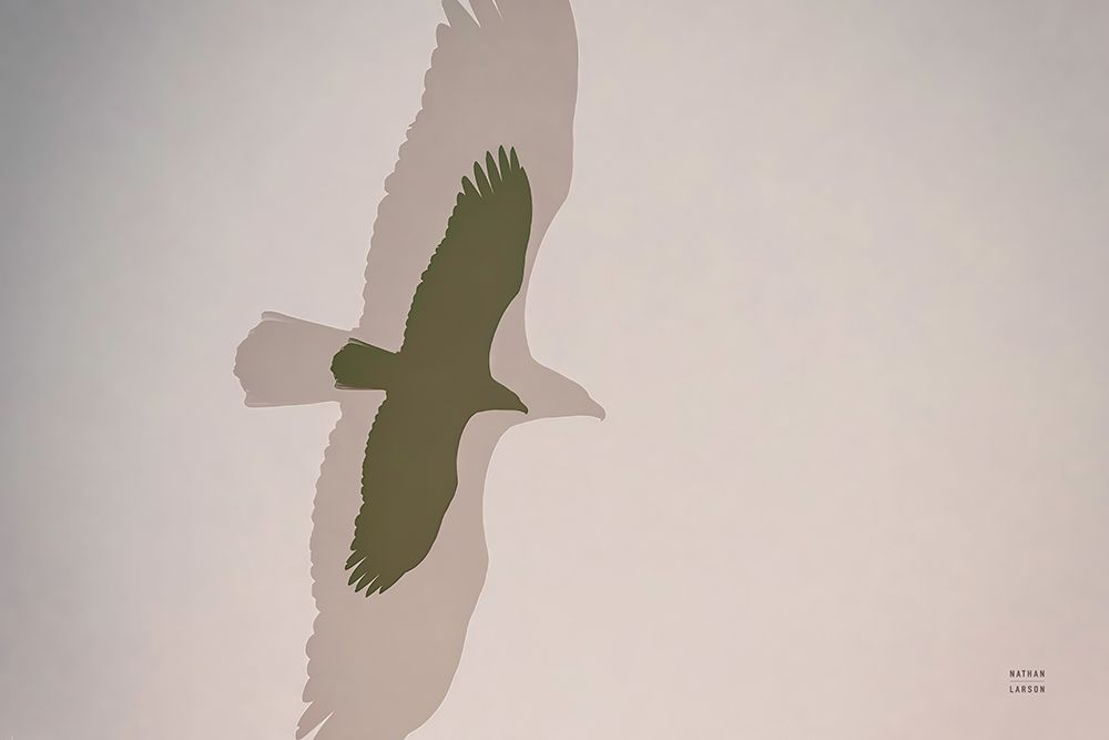 Double Eagle art print by Nathan Larson for $57.95 CAD