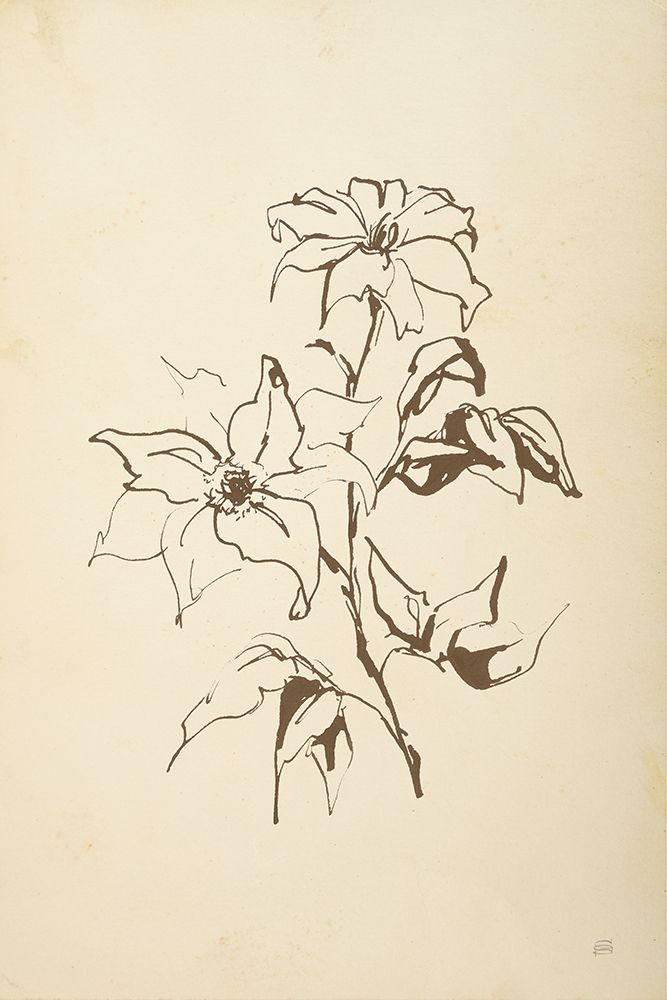 Vintage Line Clematis art print by Chris Paschke for $57.95 CAD