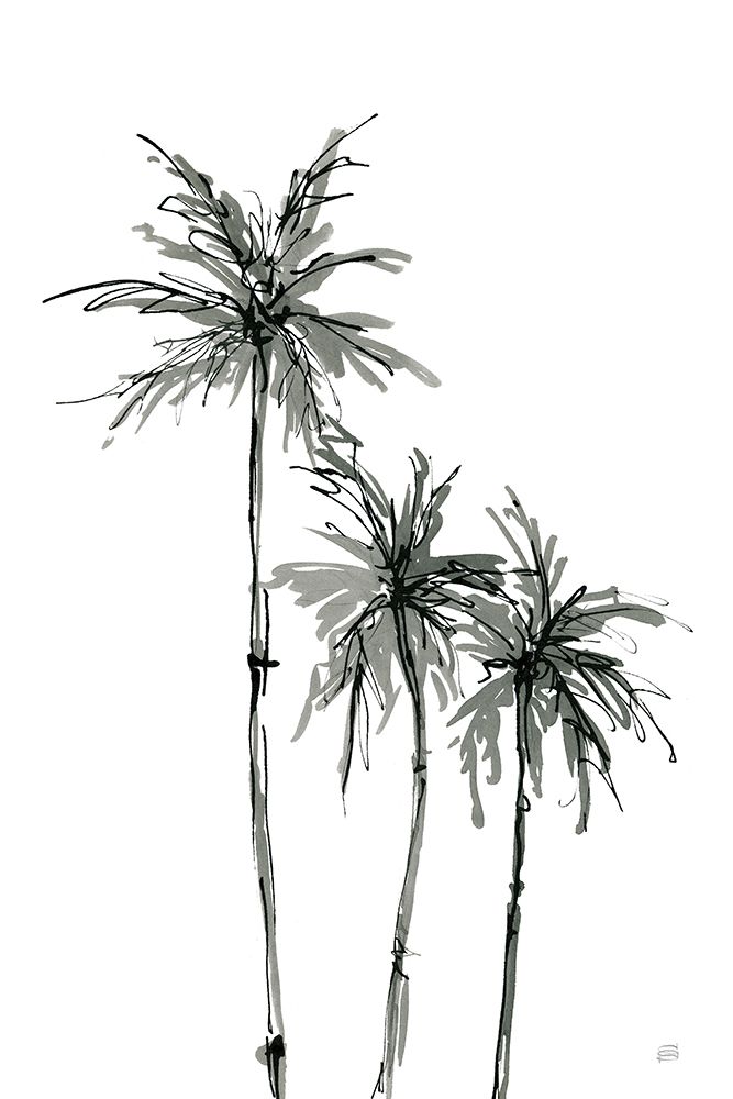 Shadow Palms II art print by Chris Paschke for $57.95 CAD