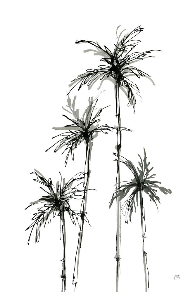 Shadow Palms III art print by Chris Paschke for $57.95 CAD