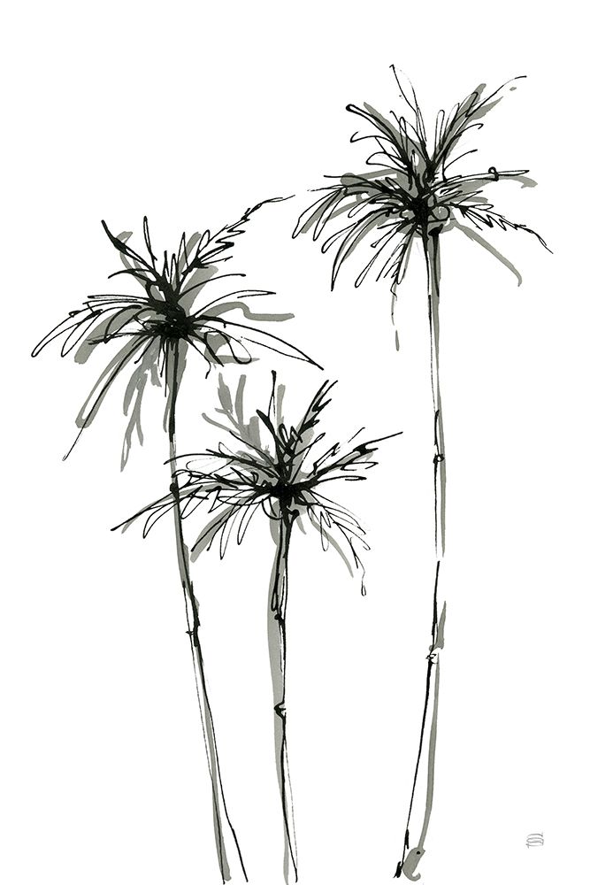 Shadow Palms IV art print by Chris Paschke for $57.95 CAD