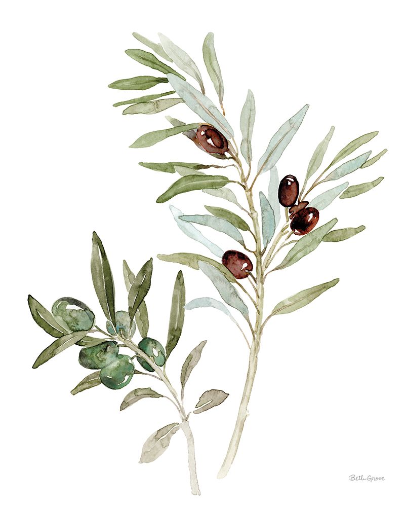 Mediterranean Motif IX on White art print by Beth Grove for $57.95 CAD